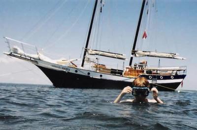destin snorkeling tours destin snorkeling, destin snorkel cruises, snorkeling